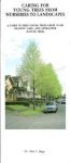 Caring for Young Trees From Nurseries to Landscapes